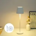 Portable LED Table Lamp Touch Control Stepless Dimmable Desk Lamp Rechargeabl AU