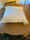 PillowCubes Pillow Insert 50/50 down/feathers / 22 x 22 in / White Case