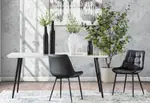 ARCADIAN Set of 2 Black Dining Chairs