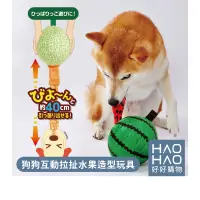 在飛比找蝦皮購物優惠-✨現貨✨日本Petio 狗狗互動拉扯水果造型玩具 Petio
