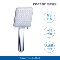 在飛比找momo購物網優惠-【CAESAR 凱撒衛浴】舒活 SPA 6 段出水蓮蓬頭(淋