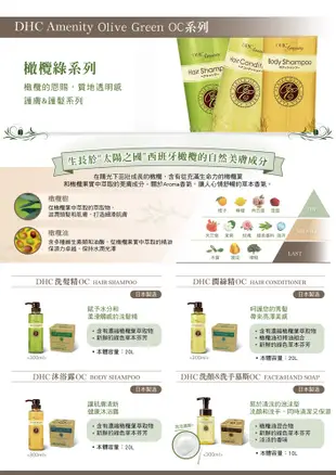 日本DHC Olive Green Clear系列 洗顏&洗手慕斯 (附原裝空瓶1個300ml) (8.1折)