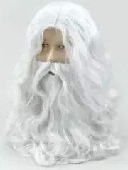 Santa Claus Father Christmas White Wig & Beard Xmas Wizard Old Man Costume