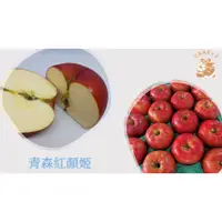 在飛比找蝦皮購物優惠-日本進口青森紅顏姬蘋果