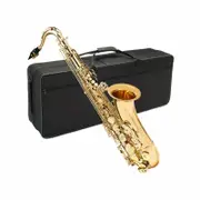 Axiom Prelude Tenor Saxophone