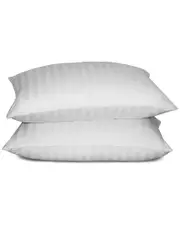 Blue Ridge Home 500TC Down Pillow