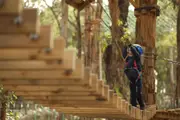 Junior Treetops Ropes Course - Yeodene
