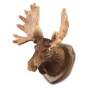 MINIATURE DOLLHOUSE 1:12 SCALE REUTTER MOOSE HEAD WALL TROPHY - 1.607/9