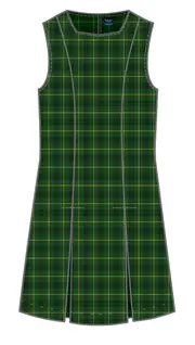 Bottle Green Check Tunic