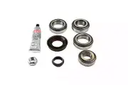 Differential Rebuild Kit-FSGR DANA Spicer 2017087