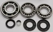 All Balls Differential Bearing & Seal Kit for 2001-2002 Polaris Magnum 325 4x4