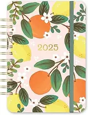 Orange Circle Studio Do It All 2025 Weekly Planner, Fruit & Flora, 17-Month Wire-O Bound Calendar Book, Dotted Grid Week-Per-Spread View, To-Do Lists, Appointment, Budget, Goal Tracker for School/Work