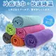 極凍涼感冰涼巾/冰巾 運動涼感毛巾 (80x30cm/袋裝) 不硬化降溫涼感快乾