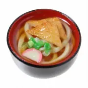 Not allowed Food sample shop magnet (kitsune udon) Food sample Mini From Japan