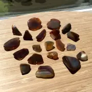 Mini Geode Slices Polished Agate Crystal End Cuts Mixed Gray Brown Rocks 8oz Lot