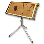 Queen Bee Grafting Stand/Station and Frame Holder