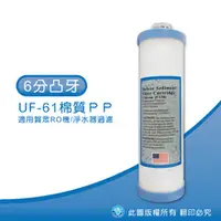 在飛比找水蘋果購物中心優惠-6分凸牙 UF-61 5uPP濾心-水蘋果專業淨水/快速到貨