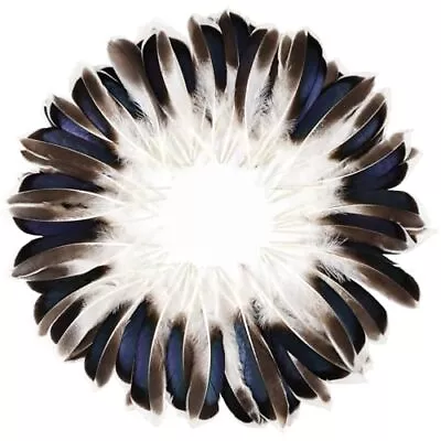 240pcs Duck Feathers 4-6 inch Natural Feather Bulk for Craft Wedding Home