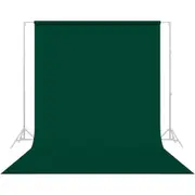 Savage Widetone Evergreen Studio Photography Backdrop Green Background Paper