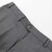 Hiltl NWT Flat Front Dress Pants Size 52 36 US Dayne Solid Gray Wool Blend