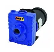 AMT Pump 2827-95 Self-Priming Centrifugal Pump, Cast Iron, 1/2 HP, 1 Phase, 1...