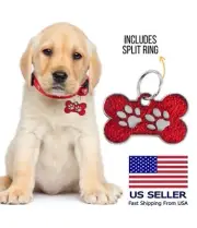 Custom Bone Pet ID Name Tag for Dog Collars Personalized Engraved Tags shape