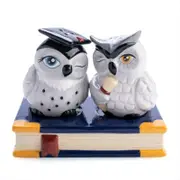 Owl Salt Pepper Set