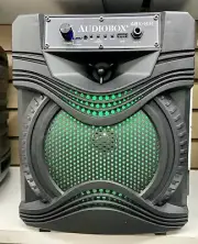 bluetooth 8”speaker AUDIOBOX 1000w p.m.p.o Rechargeable fm Radio tf Microphone