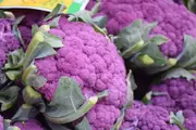 CAULIFLOWER 'Purple' seeds