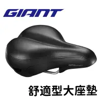 在飛比找蝦皮購物優惠-拜客先生－【GIANT】現貨 捷安特  GIANT CONN