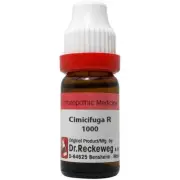 Dr. Reckeweg Homeopathy Cimicifuga Racemosa (11 ml) (Select Potency)
