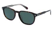 POLAROID-PLD 4117/G/S/X-86-5518-SUNGLASSES