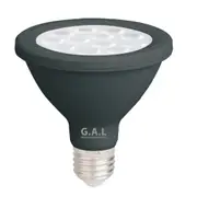 (2 Pack) G.A.L 12W LED Globe PAR30 E27 - 240V - 6500K - IP65 - Black