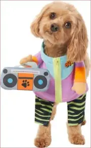 Frisco Front Walking 80s Retro Kid Dog & Cat Costume, Small NEW WITH TAGS