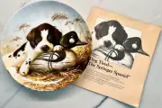 Edwin M. Knowles Field Puppies "Dog Tired" The Springer Spaniel-Lynn Katz by UKC