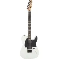 在飛比找蝦皮商城優惠-Fender AM JIM ROOT TELE EB WHT