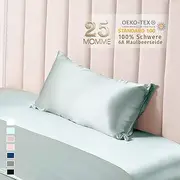 THXSILK 25 Momme Silk Pillowcase for Hair and Skin, Mulberry Silk Pillow Case, Hypoallergenic with Hidden Zip, Pure Silk on Both Sides (Light Blue, 40 x 60 cm)