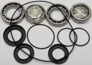 All Balls Racing Differential Bearing and Seal Kit Rear 25-2093