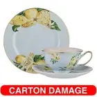 Ashdene 225ml Citrus Blooms Trio Tea Cup Saucer & Side Plate Set New Bone China