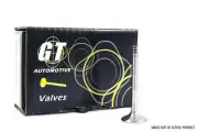 Inlet Valve for Seat Alhambra, Cordoba, Ibiza, Inca, Leon & Toledo 1.9 TDi