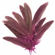 Under 6" Ringneck Pheasant Tail Feather x 10 pcs - Hot Pink