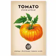 Little Veggie Patch Tomato 'Pineapple' Heirloom Seeds