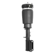 Air Suspension Strut Unity 18-125002 fits 00-06 BMW X5 (for: BMW)
