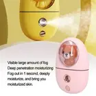 AU Beauty Sprayer Pink Portable Moisturizing Hydrating ColdType NanoLevel