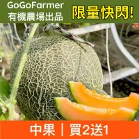 在飛比找台灣好農優惠-▶限量快閃◀ 【GoGoFarmer】有機卡蜜拉網紋哈密瓜-