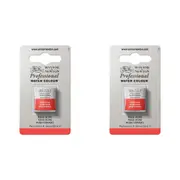 2x Winsor & Newton Professional Watercolour Artist Paint Half Pan Rose Dore S4