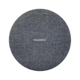 HUAWEI華為 原廠備咖存儲/備份專用儲存裝置 ST310-S1 (盒裝)