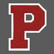 FANCIBAND 6.5 Inch Red Iron On Letters Varsity Letter Patches Large Chenille Letterman Jacket Patches Iron On Patch for Clothes T-Shirt Jacket Hoodie Varsity P