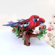 Australian Crimson Rosella Parrot Couple 3D Pop Card