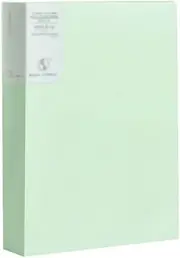 A4 Plastic Wallet, 100-Pocket Bound Sheet Protector Presentation Book, Plastic Presentation Book Portfolio Folder(Color:Grün)